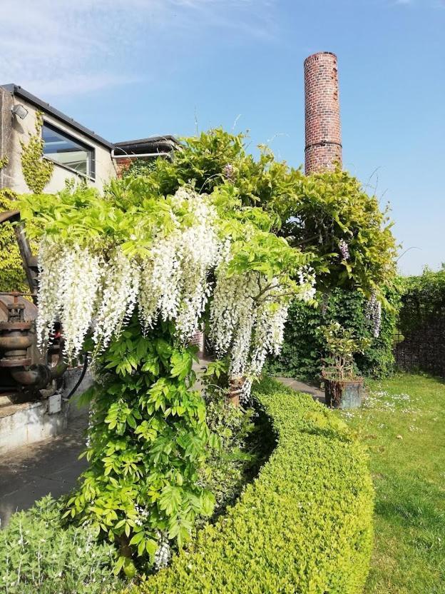B&B De Vlaschaerd Heule 외부 사진